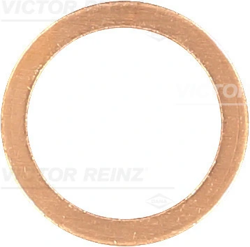 417016800 Victor Reinz