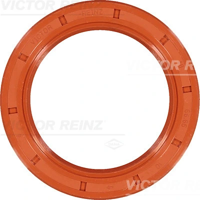 812578900 Victor Reinz