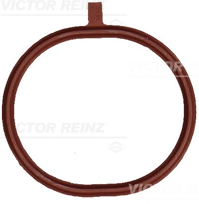 711836200 Victor Reinz