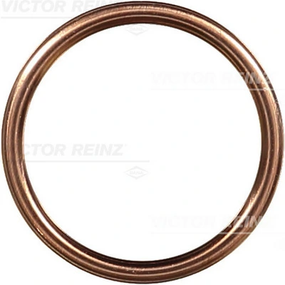 417206530 Victor Reinz