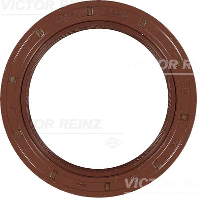 811673720 Victor Reinz