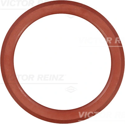 713855200 Victor Reinz