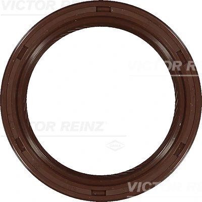 811038200 Victor Reinz