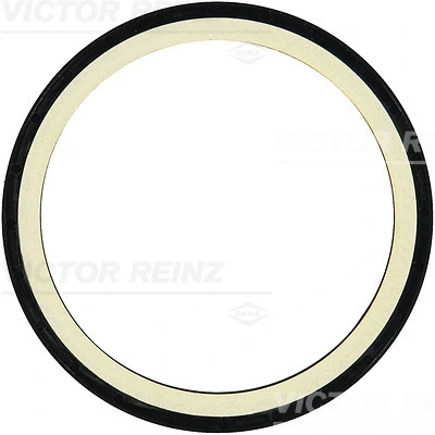 813794100 Victor Reinz
