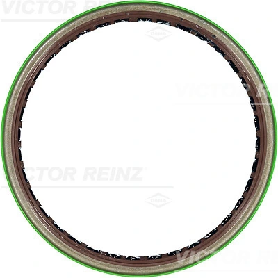 815329900 Victor Reinz