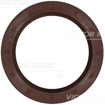 813507400 Victor Reinz