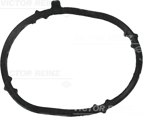 713902200 Victor Reinz