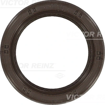 815346700 Victor Reinz