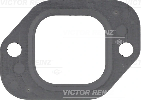 713789410 Victor Reinz