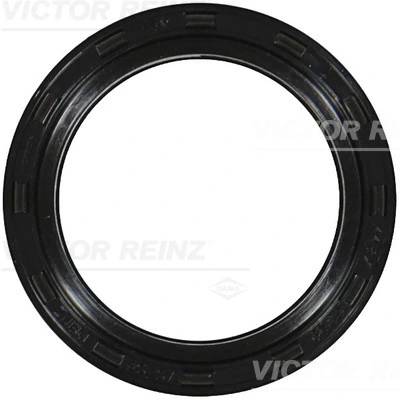 811050900 Victor Reinz