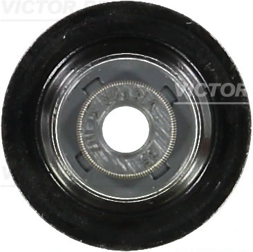 705409300 Victor Reinz