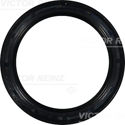 811055100 Victor Reinz