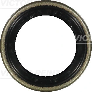 812401000 Victor Reinz