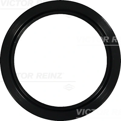 811038500 Victor Reinz