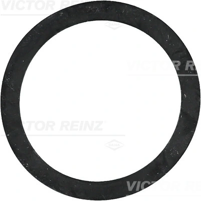 407724300 Victor Reinz