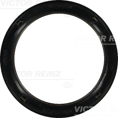 813850700 Victor Reinz
