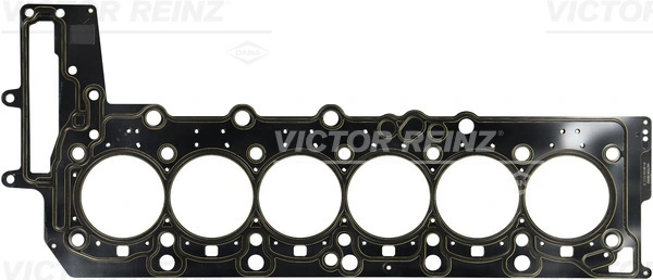 613812010 Victor Reinz