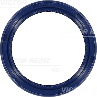 815328400 Victor Reinz