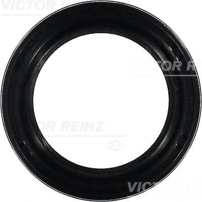 815323900 Victor Reinz