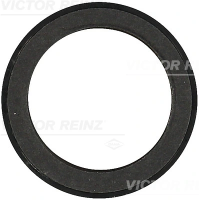 811058000 Victor Reinz
