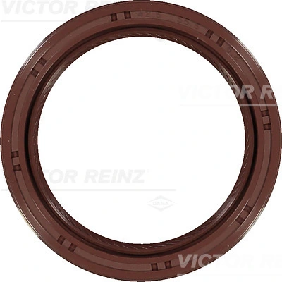 811038000 Victor Reinz