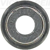 701003100 Victor Reinz