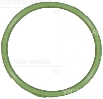 711833900 Victor Reinz