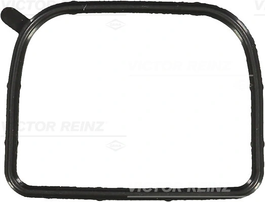 711011600 Victor Reinz