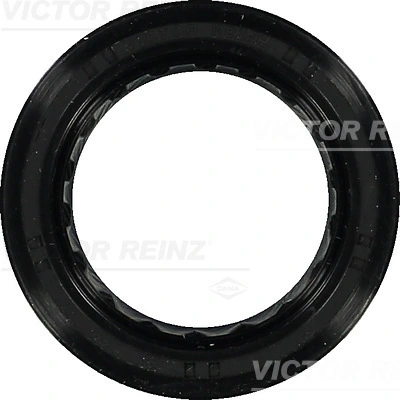 814038900 Victor Reinz