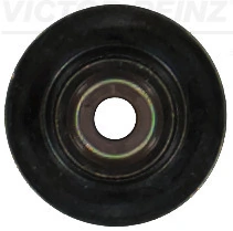 701929500 Victor Reinz