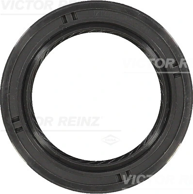 815345900 Victor Reinz