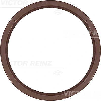 813823100 Victor Reinz