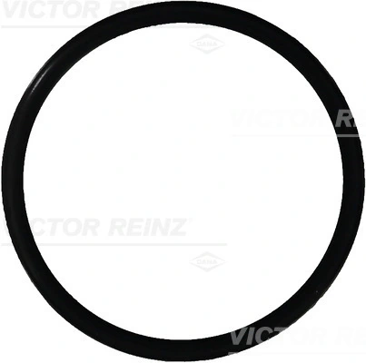 407616500 Victor Reinz
