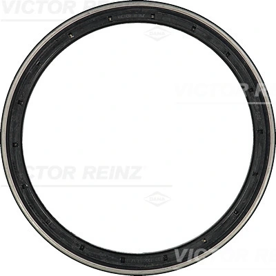 813699900 Victor Reinz