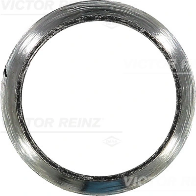 713183300 Victor Reinz