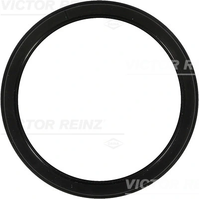 815427100 Victor Reinz