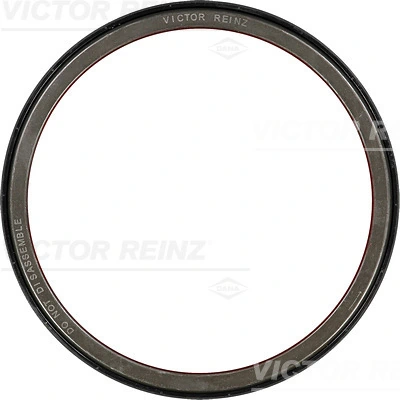 813717300 Victor Reinz