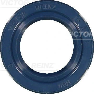 811529310 Victor Reinz