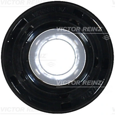 811057800 Victor Reinz