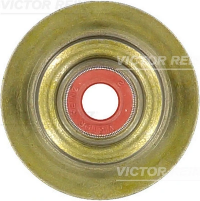 703443800 Victor Reinz