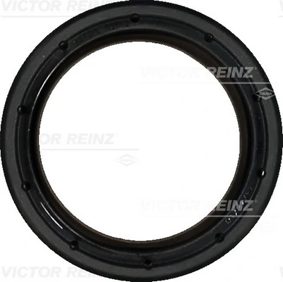 811043000 Victor Reinz