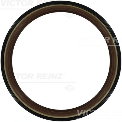813509900 Victor Reinz