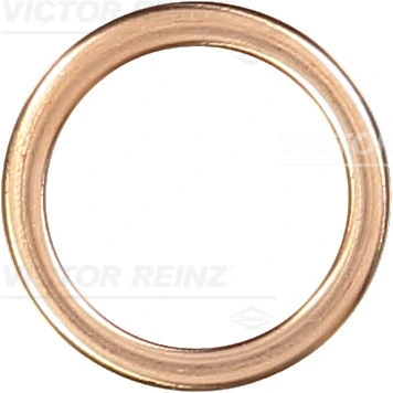 417204130 Victor Reinz