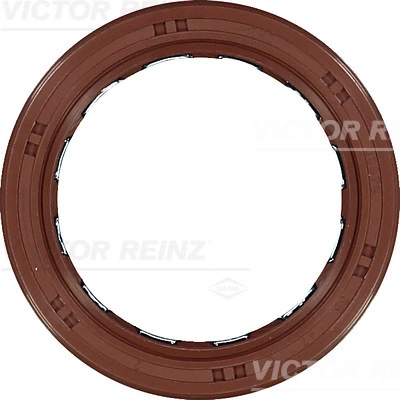 811037400 Victor Reinz