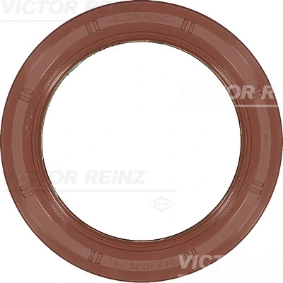 815411100 Victor Reinz