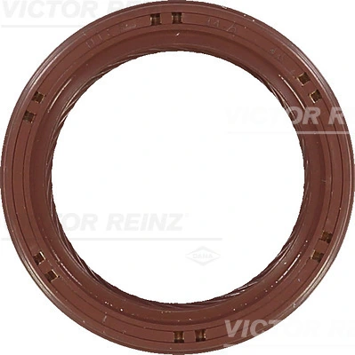 815390700 Victor Reinz