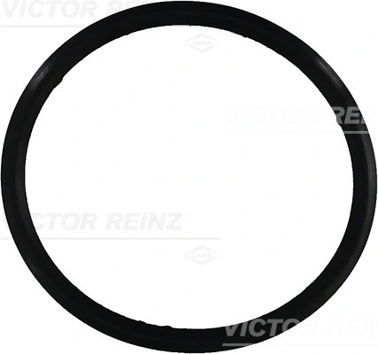 713164900 Victor Reinz