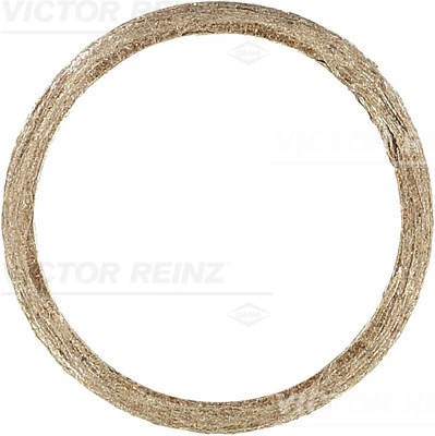 711017800 Victor Reinz