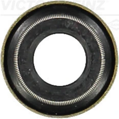 702449110 Victor Reinz
