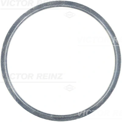 612341000 Victor Reinz